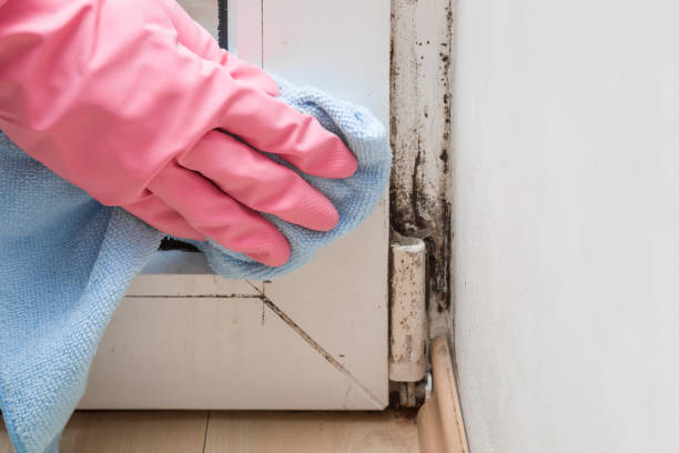 Best Mold Prevention Services  in Tullytown, PA